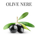 olive-nere-mazzalupo
