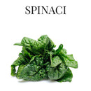 spinaci-mazzalupo