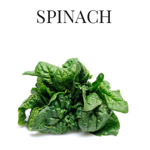 eng-spinaci