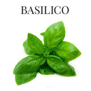 basilico