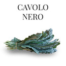 cavolo-nero-mazzalupo