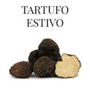 tartufo-estivo-mazzalupo